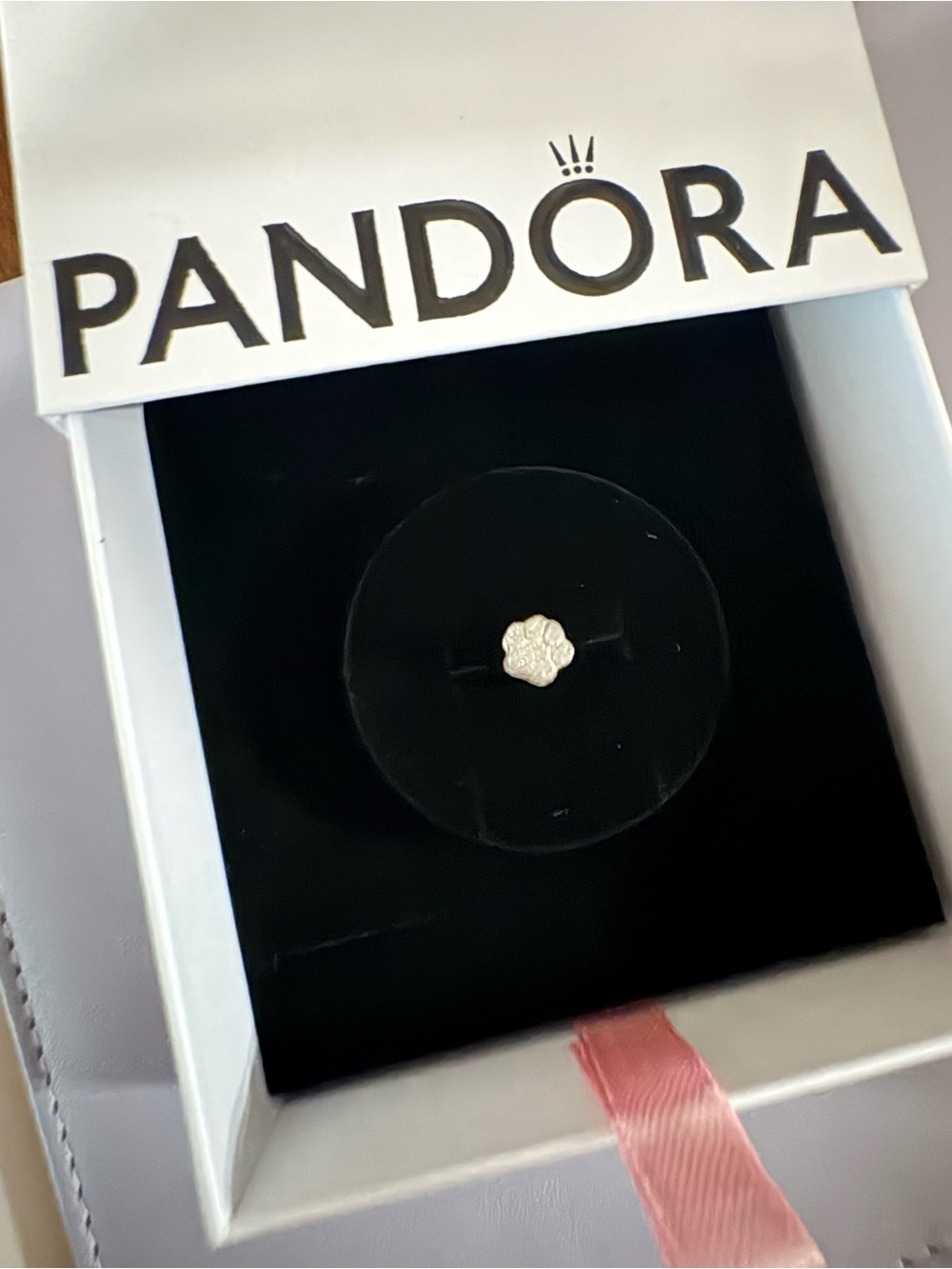 Pandora mini dog paw